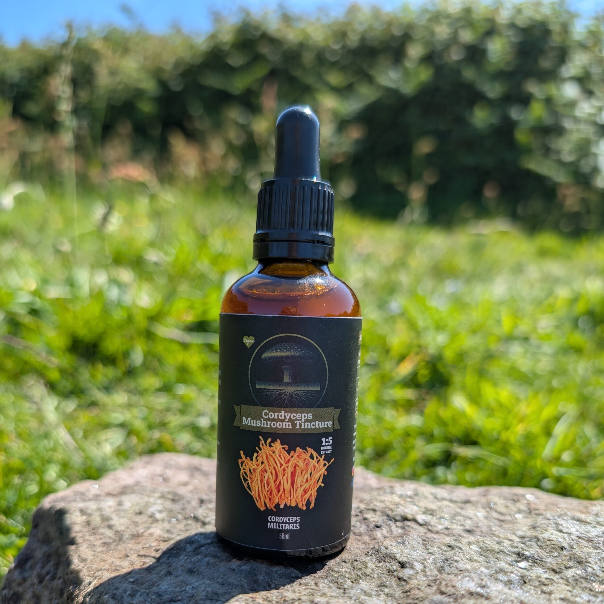 Cordyceps Mushroom Tincture