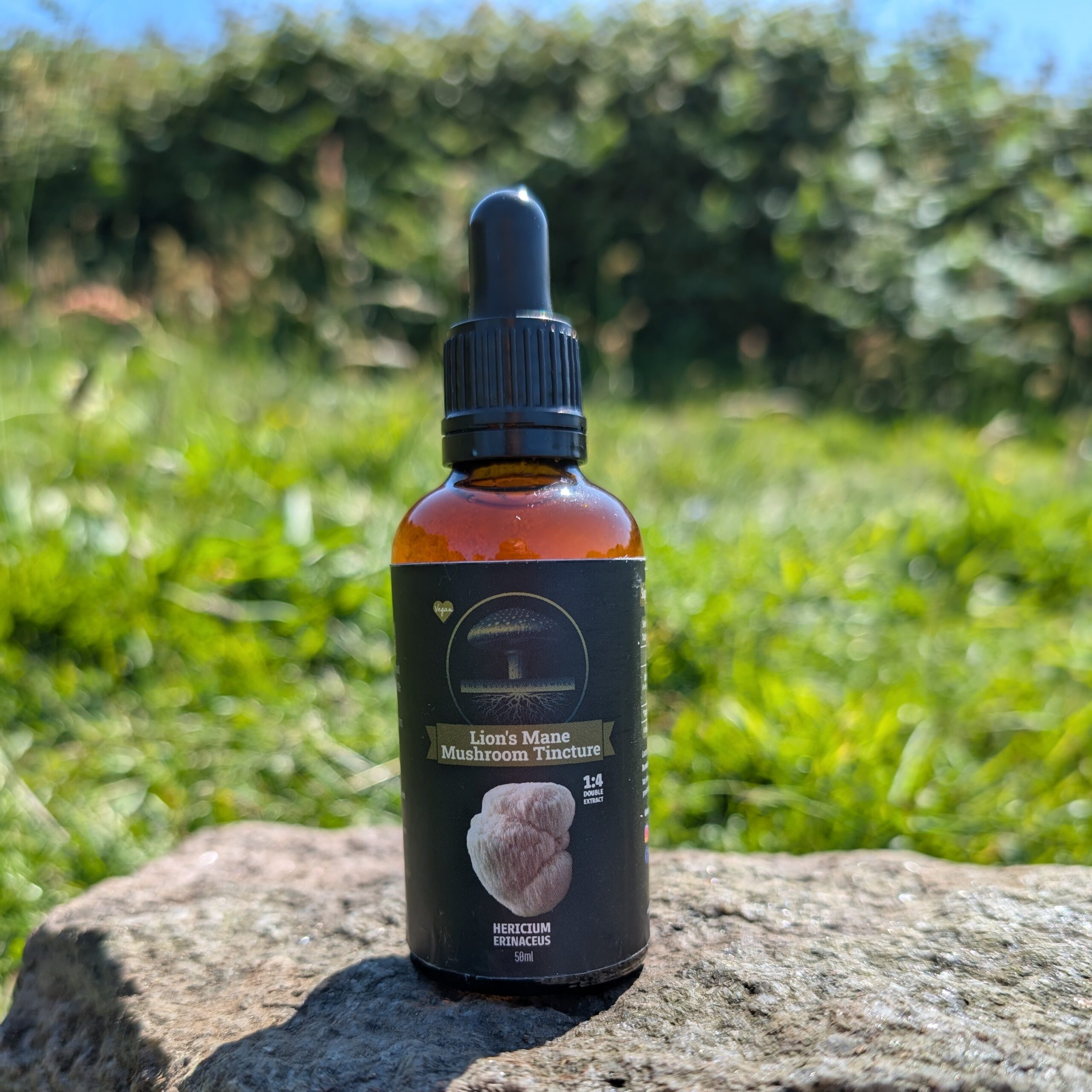 Lion's Mane Mushroom Tincture