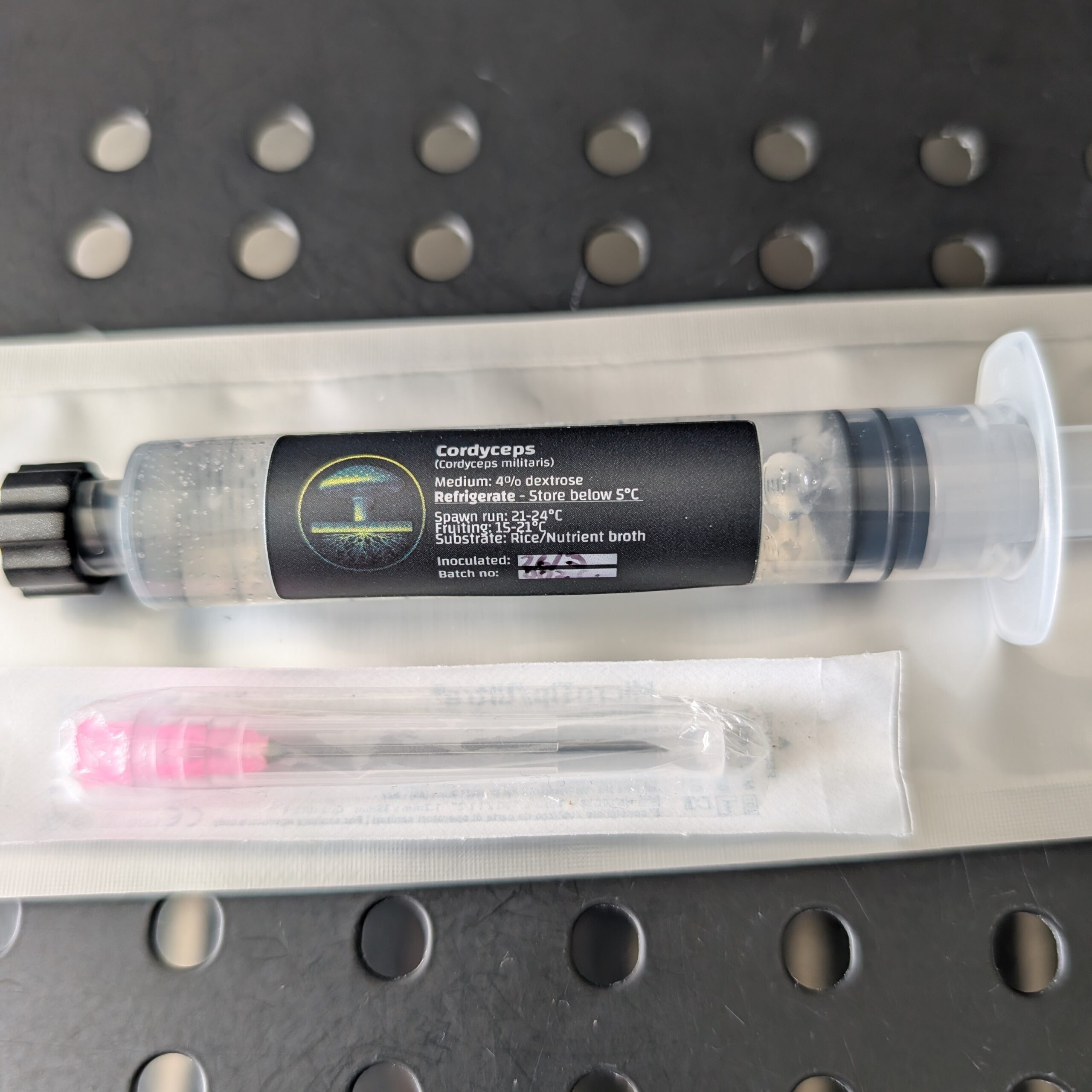 Cordyceps Mushroom Liquid Culture